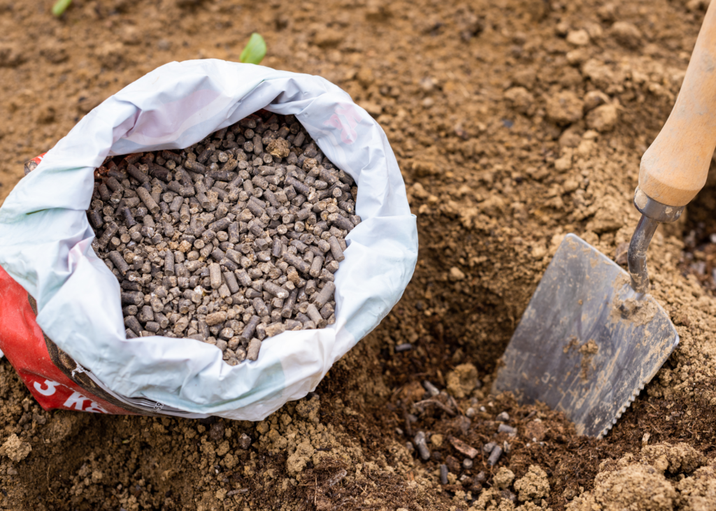 tierra para plantas de interior